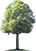 Logo tree